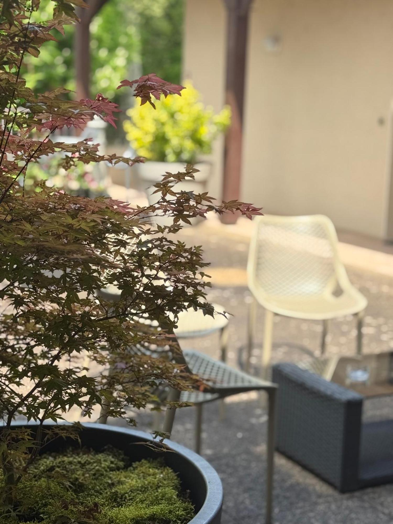 Le Victor Hugo - Hotel Et Restaurant - Logis Hotels Saint-Céré エクステリア 写真